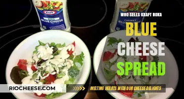 Discovering the Best Deals on Kraft Roka Blue Cheese Spread