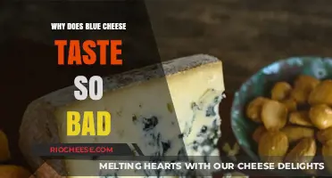 The Pungent Truth: Unraveling the Mystery of Blue Cheese's Bold Flavor