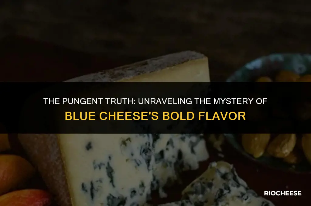 why does blue cheese taste so bad