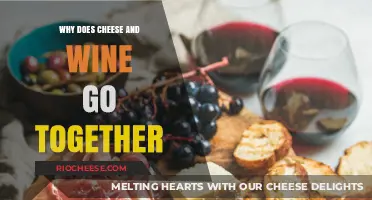 A Match Made in Heaven: The Art of Pairing Cheese and Wine