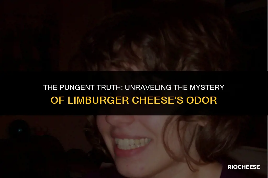 why does limburger cheese smell so bad