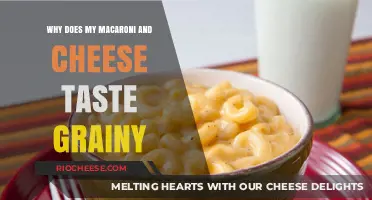 Solving the Mystery: Why Your Macaroni and Cheese Tastes Grainy