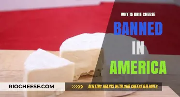 Unveiling the Mystery: Why Is Brie Cheese Banned in America?