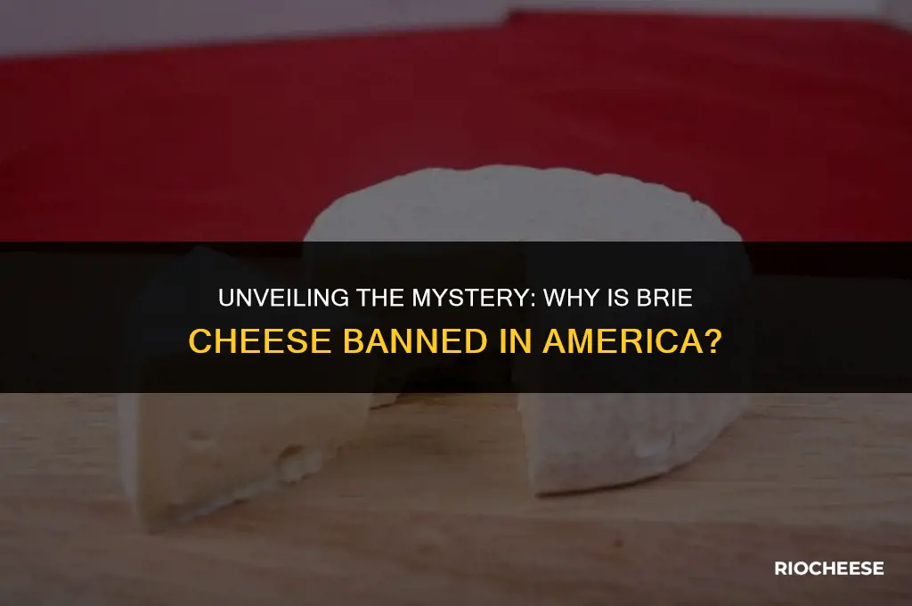 why is brie cheese banned in america