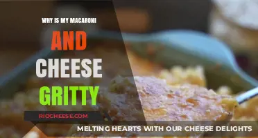 Solving the Gritty Mac and Cheese Mystery: Tips and Tricks