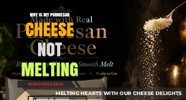 The Melting Mystery: Why Your Parmesan Cheese Won't Melt
