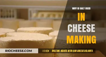 The Salty Secret: Why Salt is Essential in Cheese Making