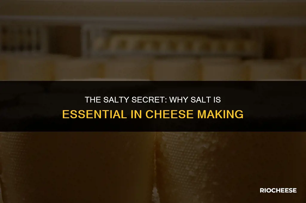 why is salt used in cheese making