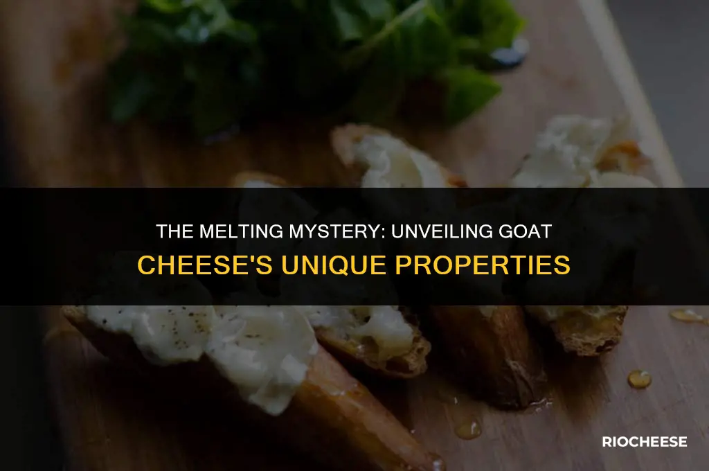 will goat cheese melt