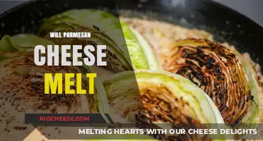 The Melting Mystery: Parmesan Cheese's Unique Properties Explained