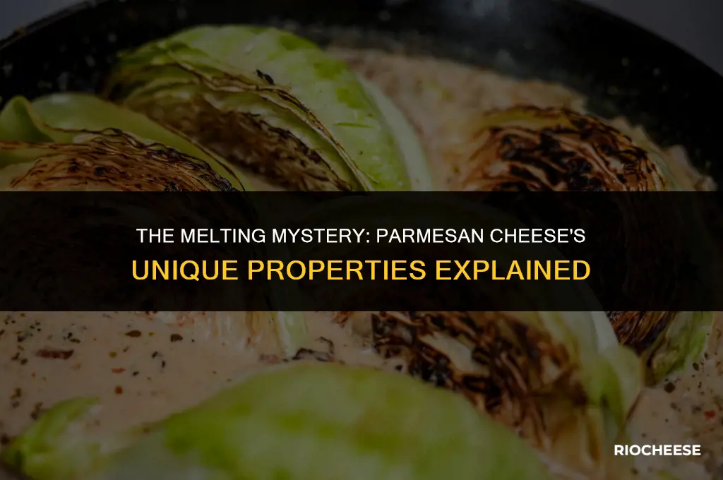 will parmesan cheese melt